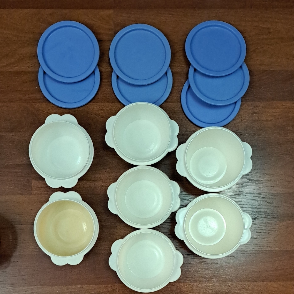 Set of White Bowls with Blue Lids